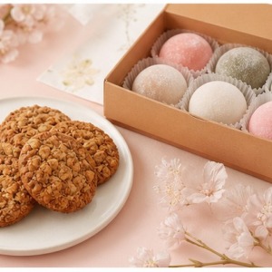 Oat Biscuit Cookies